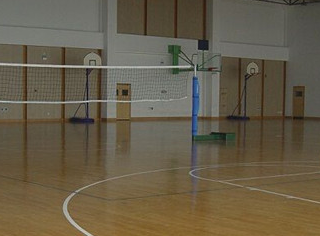 ��(sh��)ľ�\(y��n)��(d��ng)�ذ�