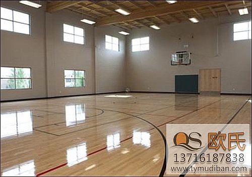 體育地板 體育地板