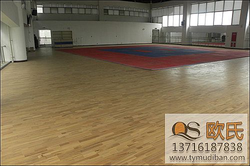 �\�ӈ��^���Ì�ľ�\�ӵذ�ăr���ʲô���P(gu��n)